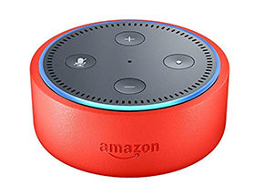 echo dot for kids