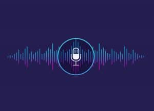 voice recognition voice control
