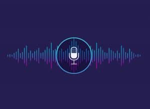 voice recognition voice control