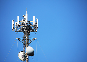 Top 5 MVNO Trends