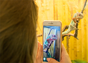 Google Images Using AI Lens Technology