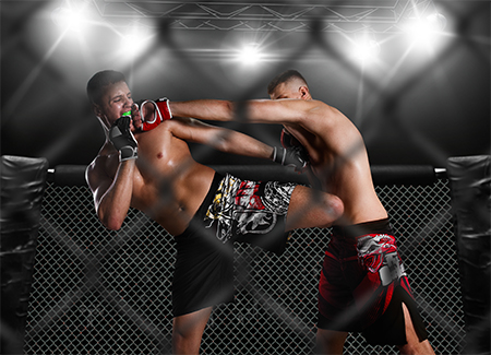 RJJ Pro Boxing Matches to Stream on UFC’s Fight Pass